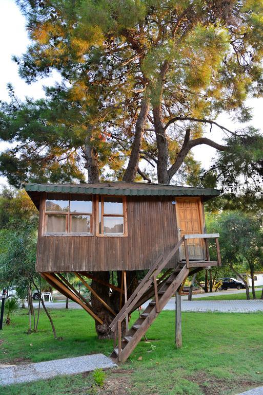 Gorge Club Hotel Saklikent Quarto foto