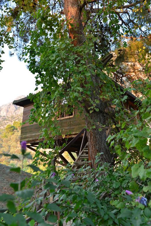 Gorge Club Hotel Saklikent Quarto foto